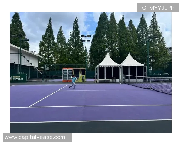 南京网球队中路突破的成功与挑战分析