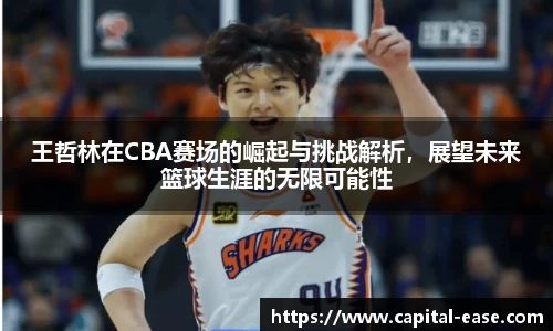王哲林在CBA赛场的崛起与挑战解析，展望未来篮球生涯的无限可能性