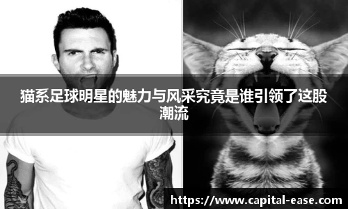 南宫ng28有限公司